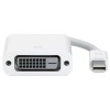 ADAPTADOR MINI DISPLAYPORT A DVI Imagen