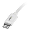 CABLE 15CM LIGHTNING APPLE A USB BLANCO PARA IPHONE Imagen