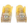 CABLE DE RED PATCH CAT6 RJ45 0.5M AMARILLO Imagen