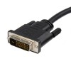 CABLE DISPLAYPORT A DVI DE 1.8 M - 1920X1200 - PAQUETE DE 10 Imagen