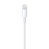 CABLE LIGHTNING A USB (1 M) . Imagen