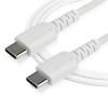 CABLE USB TIPO C DE 1 M - BLANCO - CON FIBRA ARAMIDA Imagen