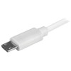 CARGADOR USB DE CABLE MICROUSB CARGADOR USB CON CABLE MICROUSB Imagen