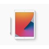 IPAD 10.2 PULG 8A GENERACION 32 GB WI-FI - PLATA Imagen