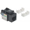 JACK RJ45 CAT5E UTP KEYSTONE DE IMPACTO NEGRO Imagen