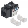 JACK RJ45 CAT6 UTP KEYSTONE DE IMPACTO NEGRO Imagen