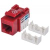 JACK RJ45 CAT6 UTP KEYSTONE DE IMPACTO ROJO Imagen