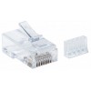 PLUG MODULAR RJ45 UTP CAT6 MULTIFILAR 90PZS CONTACTO CHAPA ORO Imagen