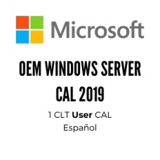 OEM WINDOWS SERVER CAL 2019 SPA 1PK DSP OEI 1 CLT USER CAL grande