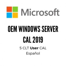 OEM WINDOWS SERVER CAL 2019 SPA 1PK DSP OEI 5 CLT USER CAL grande